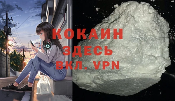 соль ск Михайлов