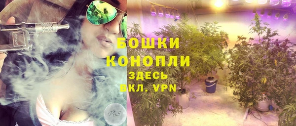 соль ск Михайлов