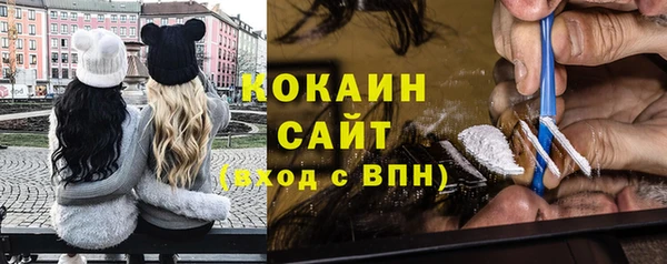 соль ск Михайлов