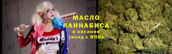 соль ск Михайлов