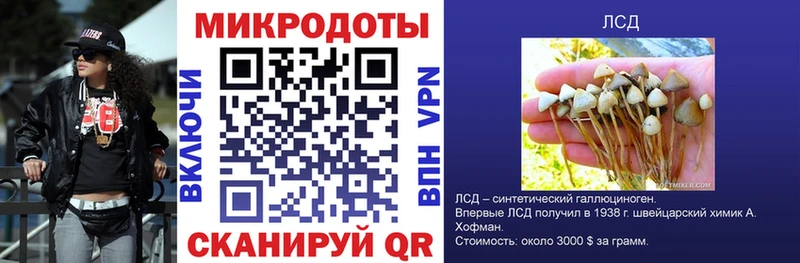 Псилоцибиновые грибы мицелий  где купить наркоту  Орлов 